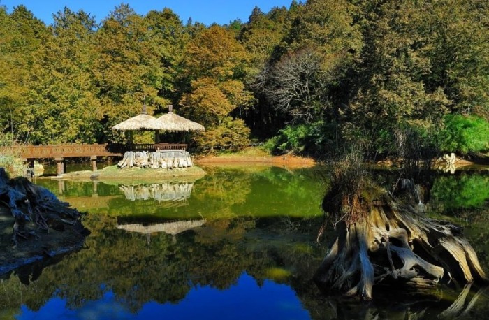 嘉義景點一日遊