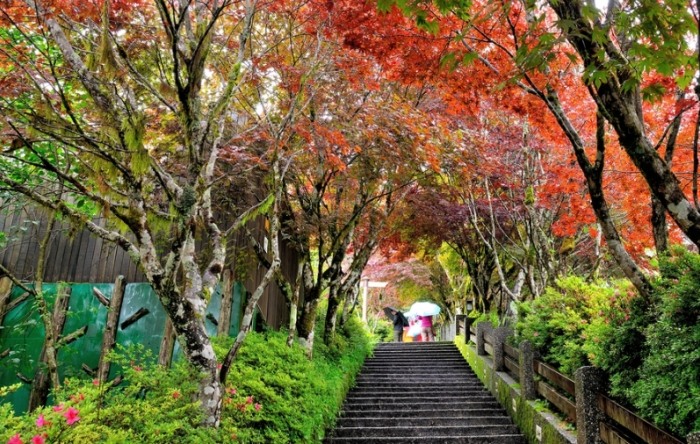 宜蘭旅遊