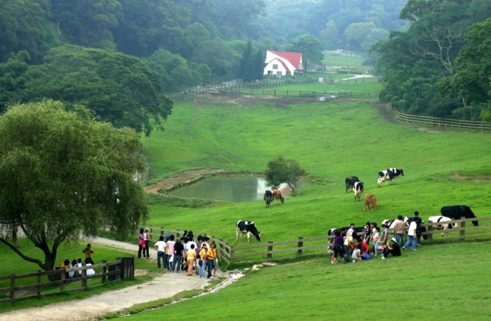苗栗旅遊