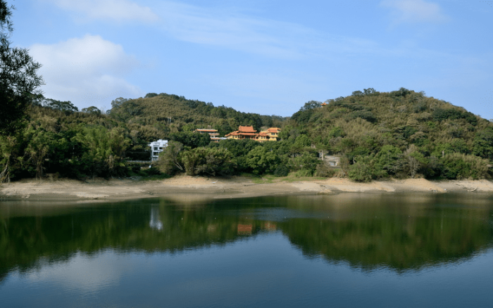 桐花旅遊