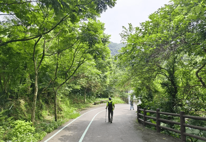桐花季花況