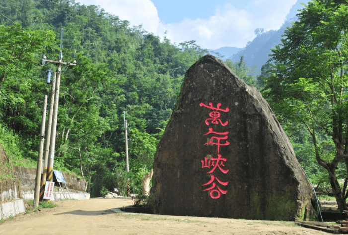 台北桐花景點