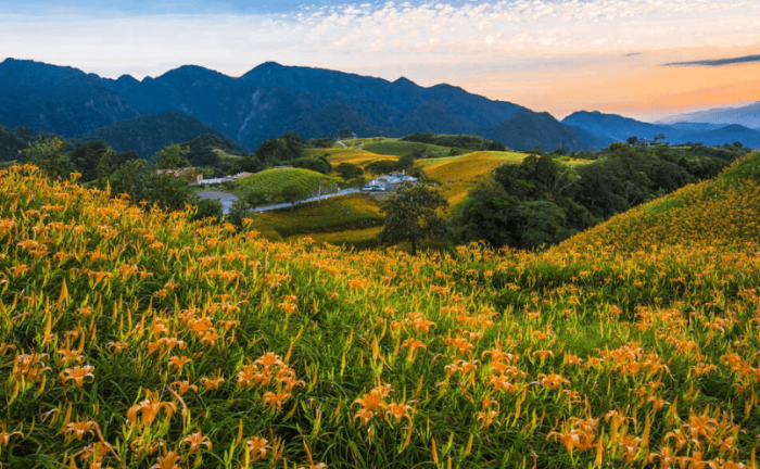 花蓮深度旅遊
