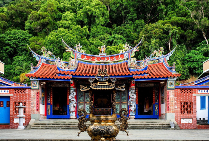 台東桐花景點